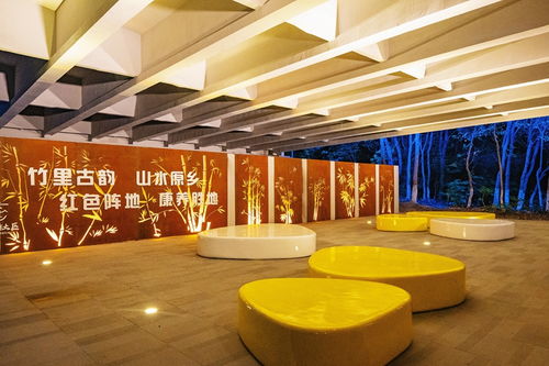 橋下灰空間巧變社區靚風景，氛圍投影燈點亮生活新美學